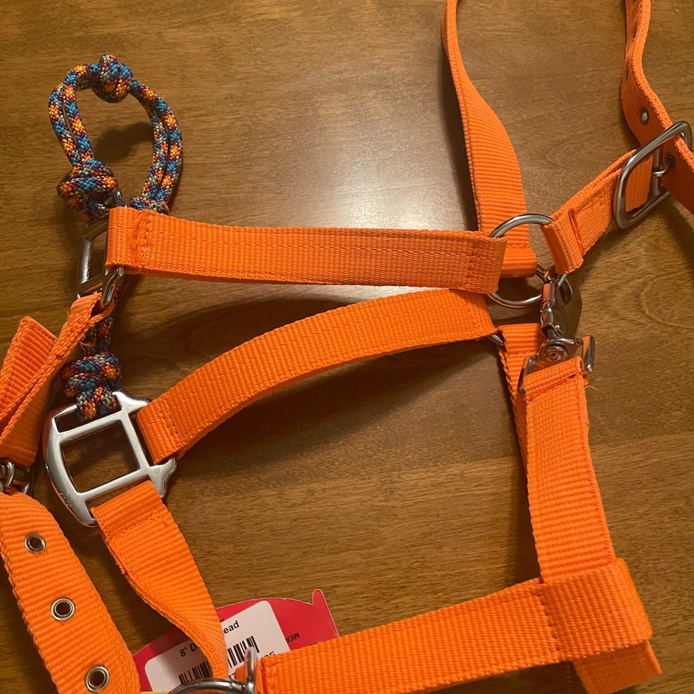 Brand new Hybrid halter